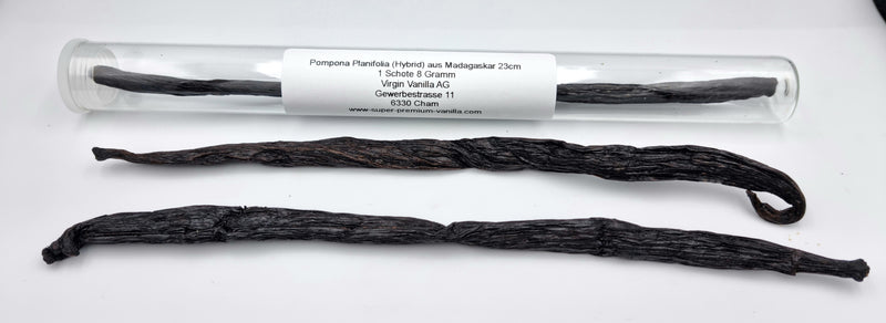 Pompona planifolia (hybrid) from Madagascar 23cm 1 pod 8 grams