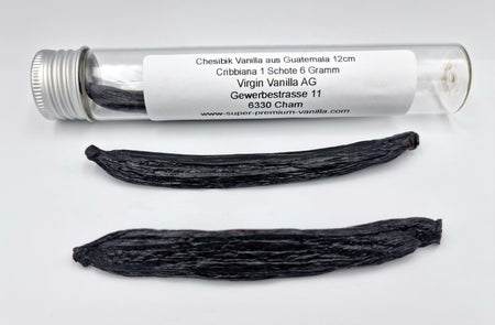 Chesibik Vanilla aus Guatemala 12cm / Cribbiana 1 Schote 6 Gramm